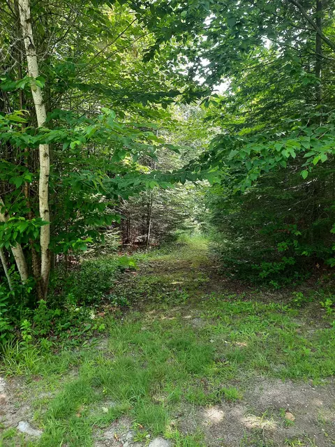 100 Mountain View Ln, Norton, VT 05907 photo 26