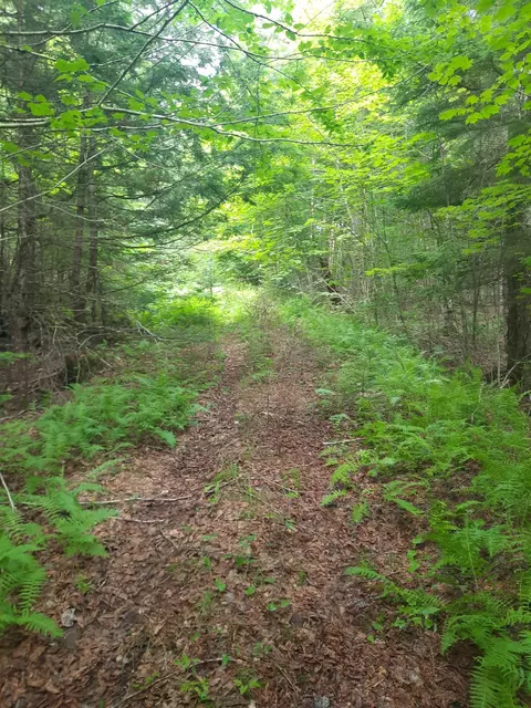100 Mountain View Ln, Norton, VT 05907 photo 27