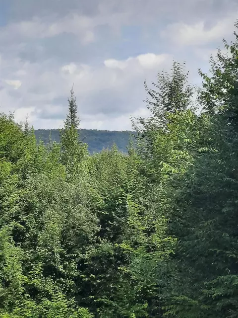 100 Mountain View Ln, Norton, VT 05907 photo 31