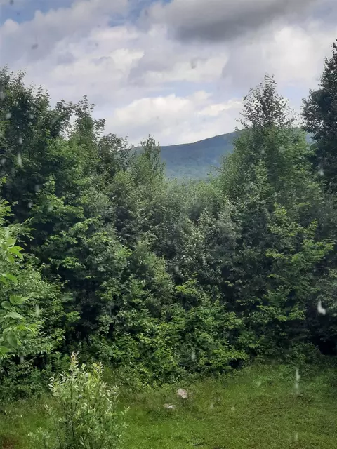 100 Mountain View Ln, Norton, VT 05907 photo 29