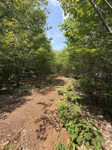 28 Whittier Road # 206, Tamworth, NH 03890
