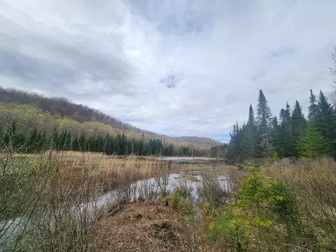 805 Cobblestone Trl, Coventry, VT 05825 photo 36