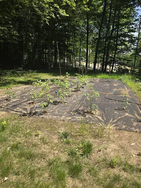 Exterior - 9 Burdett Rd, Intervale, NH 03845 photo 8 of 12