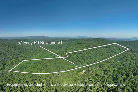 View/Area - 57 Eddy Rd, Newfane, VT 05345 photo 1 of 6