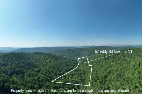 View/Area - 57 Eddy Rd, Newfane, VT 05345 photo 3 of 6
