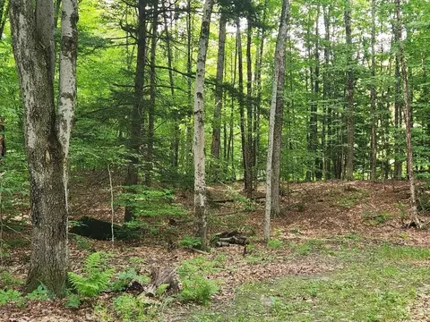 0 Beechwood Dr, Cornish, NH 03745
