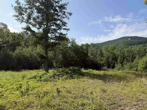 1559 Pinkham Rd Apt Lots Apt 3 4 #LOT S  3 & 4, Burke, VT 05832