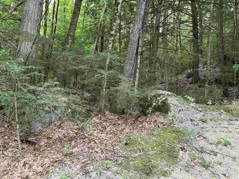 0 Windsor Terrace Rd, Concord, NH 03303