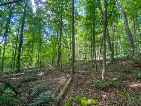 0 Sherman Ln, New Haven, VT 05472