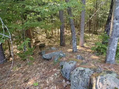 000 Alden Washburn Dr, Tamworth, NH 03886