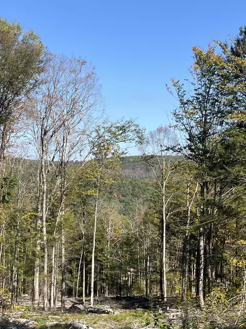 10 Underwood Drive # 227, Acworth, NH 03601