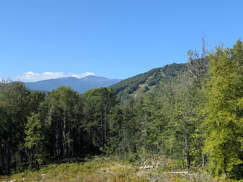 Other - 32 Mountain View Rd, Jackson, NH 03846 photo 1 of 11