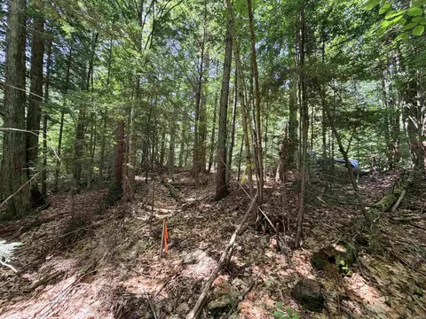 56 57 Boardman Loop, Wardsboro, VT 05355 photo 5