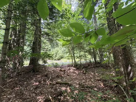 56 57 Boardman Loop, Wardsboro, VT 05355 photo 15
