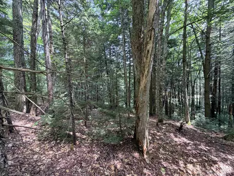 56 57 Boardman Loop, Wardsboro, VT 05355 photo 9