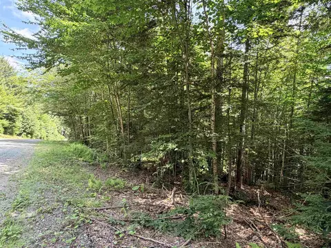 56 57 Boardman Loop, Wardsboro, VT 05355 photo 14