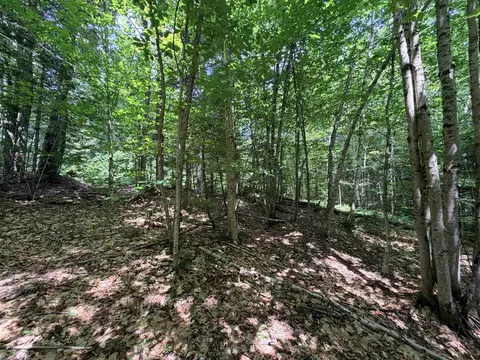 56 57 Boardman Loop, Wardsboro, VT 05355 photo 6
