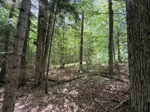 56 57 Boardman Loop, Wardsboro, VT 05355 photo 8