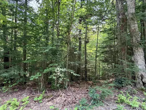 56 57 Boardman Loop, Wardsboro, VT 05355 photo 13