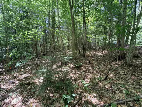 56 57 Boardman Loop, Wardsboro, VT 05355 photo 7