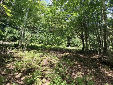 56 57 Boardman Loop, Wardsboro, VT 05355 photo 11