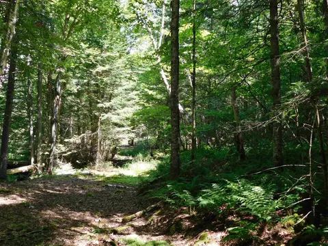 0 Cloutiers Loop, Pittsburg, NH 03592