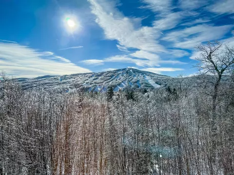 70 Overlook Dr, Dover, VT 05356 photo 3