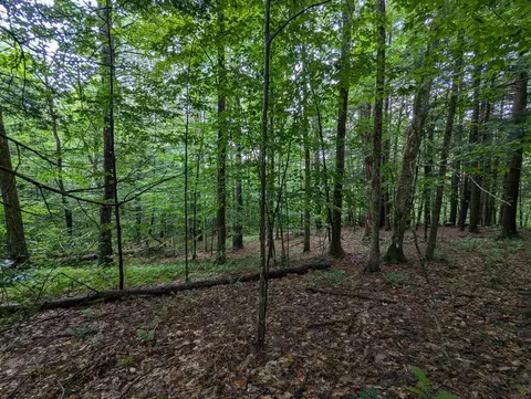 0 Dover Rd, Newfane, VT 05351 photo 3