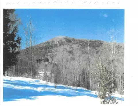 0 Dover Rd, Newfane, VT 05351 photo 12
