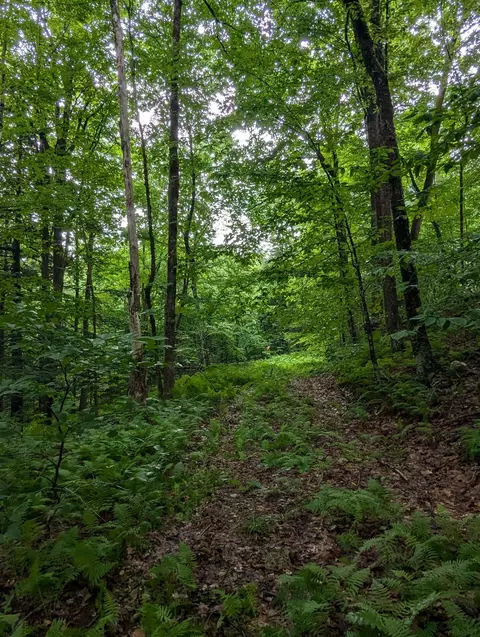 0 Dover Rd, Newfane, VT 05351 photo 9