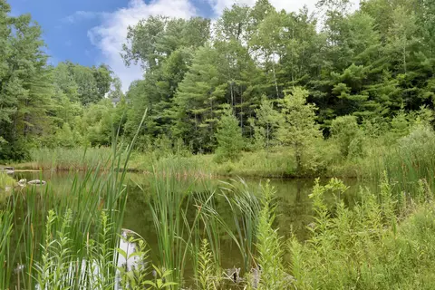 View/Area - 170 Lyman Dr, Williston, VT 05495 photo 1 of 1
