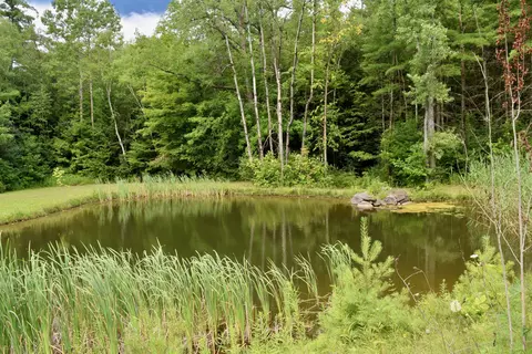 Other - 170 Lyman Dr, Williston, VT 05495 photo 1 of 7