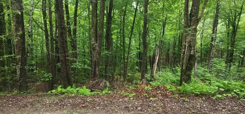 142 Fox Hill Rd #111-035, Stoddard, NH 03456