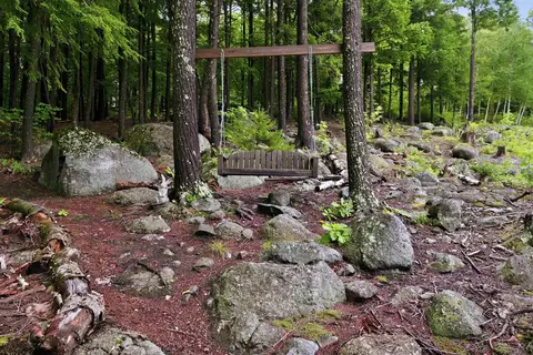 Exterior - 125 Cunningham Pond Rd, Warner, NH 03278 photo 11 of 22