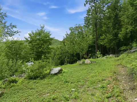 Exterior - 125 Cunningham Pond Rd, Warner, NH 03278 photo 12 of 22