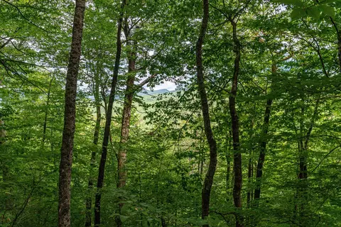 00 Dundee Rd, Bartlett, NH 03812 photo 6