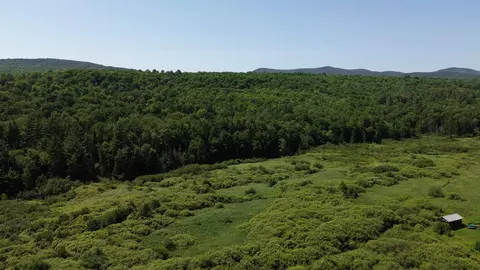 lot0 Roxbury Rd, Roxbury, VT 05669