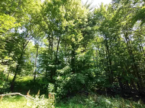230 Ober Hill Rd, Johnson, VT 05656 photo 6