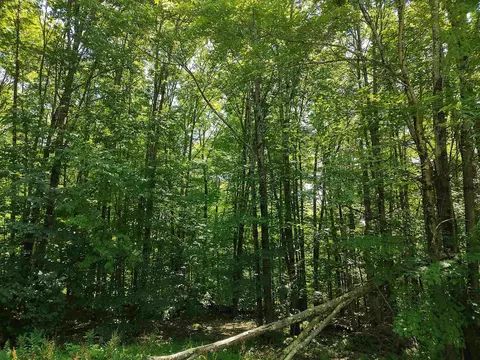 230 Ober Hill Rd, Johnson, VT 05656 photo 5