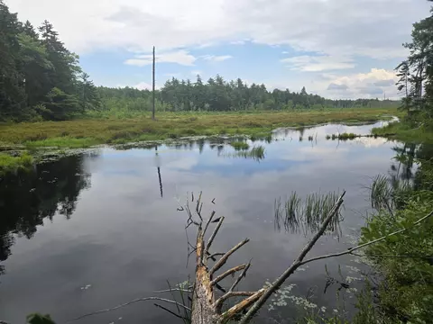 lot14 141 Brownfield Rd, Conway, NH 03813