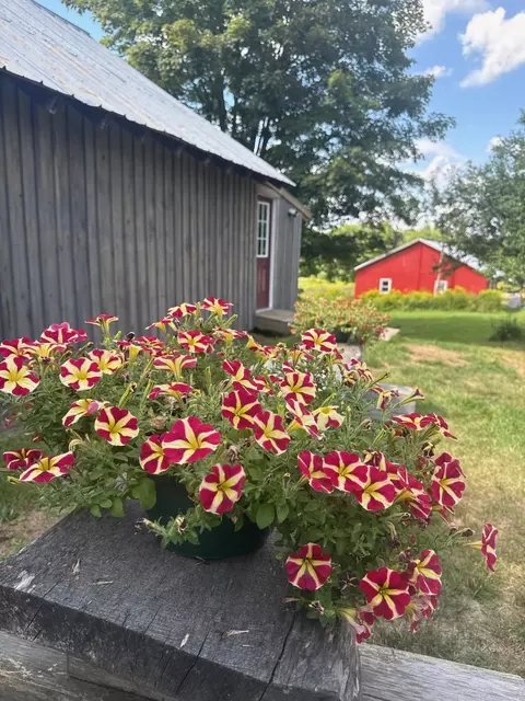 484 Vaughan Rd, Newbury, VT 05051