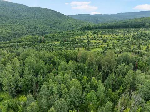 - Todd Hill Road, Lemington, VT 05903 photo 21