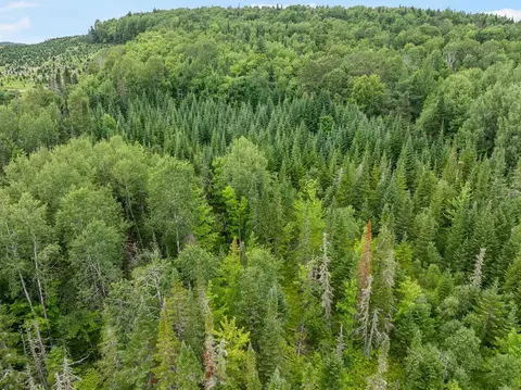 - Todd Hill Road, Lemington, VT 05903 photo 20