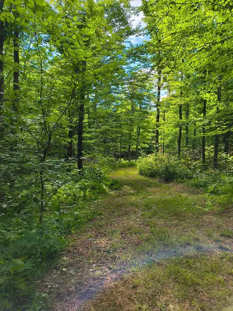 2580 Canaan Hill Rd, Averill, VT 05903 photo 9