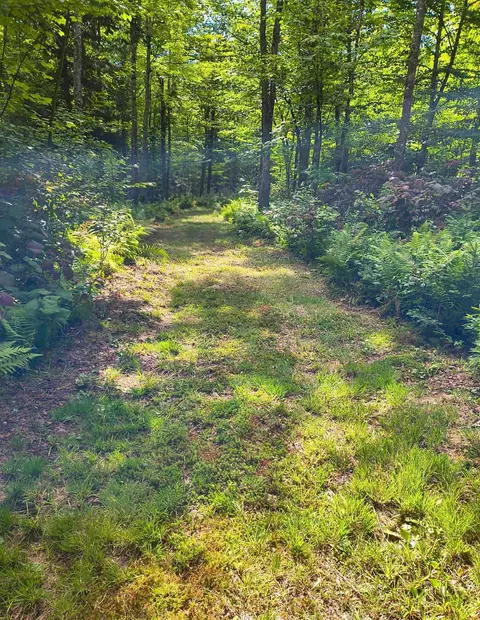 2580 Canaan Hill Rd, Averill, VT 05903 photo 10