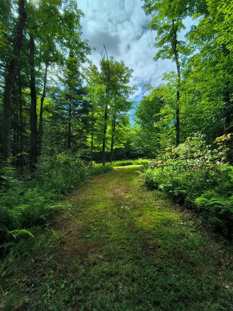 2580 Canaan Hill Rd, Averill, VT 05903 photo 7