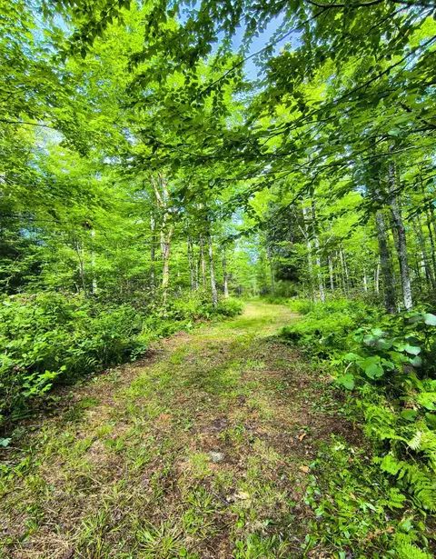 2580 Canaan Hill Rd, Averill, VT 05903 photo 6