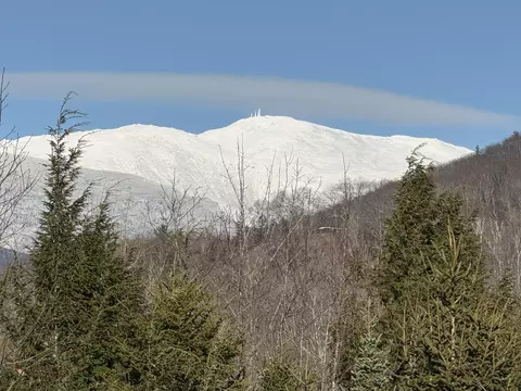Other - 29 Hemlock Hill Rd, Jackson, NH 03846 photo 13 of 17