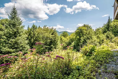 Exterior - 29 Hemlock Hill Rd, Jackson, NH 03846 photo 6 of 12