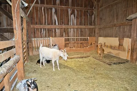 Other - 175 Washington Rd, Rye, NH 03870 photo 1 of 4